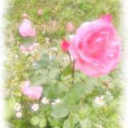 ヒメ日記 2025/06/15 12:01 投稿 門うめ ABC 岩手ソープ