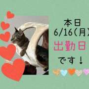 ヒメ日記 2025/06/16 06:31 投稿 門うめ ABC 岩手ソープ