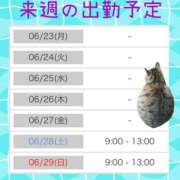 ヒメ日記 2025/06/22 01:01 投稿 門うめ ABC 岩手ソープ