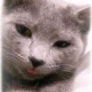 ヒメ日記 2025/06/23 19:01 投稿 門うめ ABC 岩手ソープ