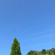 ヒメ日記 2025/06/29 07:31 投稿 門うめ ABC 岩手ソープ