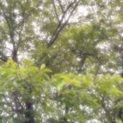 ヒメ日記 2025/07/05 08:01 投稿 門うめ ABC 岩手ソープ