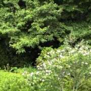 ヒメ日記 2025/07/13 08:46 投稿 門うめ ABC 岩手ソープ