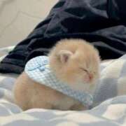 ヒメ日記 2025/07/16 22:20 投稿 まりん♪ プリティーガール