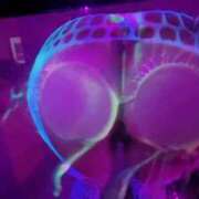 ヒメ日記 2025/08/25 12:59 投稿 椎名じゅりあ ザイオン 会員制アロマエステ