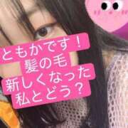 ヒメ日記 2025/08/13 23:15 投稿 月下ともか 日暮里ド淫乱倶楽部