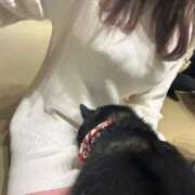 ヒメ日記 2025/06/19 16:49 投稿 さくら ぷるりんクエスト上野浅草鶯谷秋葉原デリヘル王国