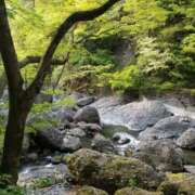 ヒメ日記 2025/05/24 21:36 投稿 ひなた ももいろワイフ(久喜)