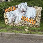 ヒメ日記 2025/05/26 18:47 投稿 ひなた ももいろワイフ(久喜)