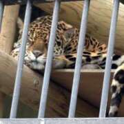 ヒメ日記 2025/05/27 12:03 投稿 ひなた ももいろワイフ(久喜)