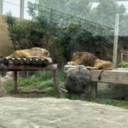 ヒメ日記 2025/05/27 19:18 投稿 ひなた ももいろワイフ(久喜)