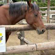 ヒメ日記 2025/05/28 19:11 投稿 ひなた ももいろワイフ(久喜)