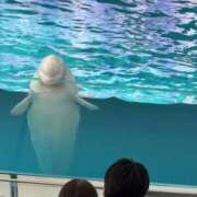 ヒメ日記 2025/05/29 13:01 投稿 ひなた ももいろワイフ(久喜)