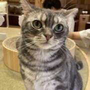 ヒメ日記 2025/06/16 18:33 投稿 ひなた ももいろワイフ(久喜)