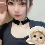 ヒメ日記 2026/03/13 22:23 投稿 しずく◆M男を弄ぶ痴女系美女 即イキ淫乱倶楽部 高崎店