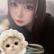 ヒメ日記 2026/03/15 12:46 投稿 しずく◆M男を弄ぶ痴女系美女 即イキ淫乱倶楽部 高崎店