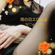 ヒメ日記 2025/09/04 07:45 投稿 ゆう 京都デリヘル倶楽部FIRST