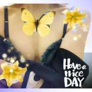 ヒメ日記 2025/09/04 09:45 投稿 ゆう 京都デリヘル倶楽部FIRST