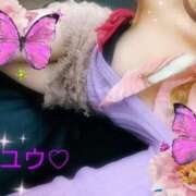 ヒメ日記 2026/02/24 10:36 投稿 ゆう 京都デリヘル倶楽部FIRST