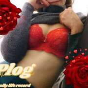 ヒメ日記 2026/02/25 07:31 投稿 ゆう 京都デリヘル倶楽部FIRST