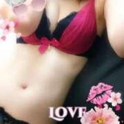 ヒメ日記 2026/03/03 07:30 投稿 ゆう 京都デリヘル倶楽部FIRST