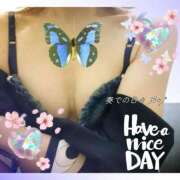 ヒメ日記 2026/03/03 14:00 投稿 ゆう 京都デリヘル倶楽部FIRST