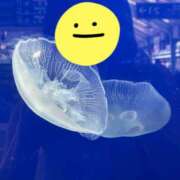 ヒメ日記 2025/08/25 18:06 投稿 あずさ 恋する人妻