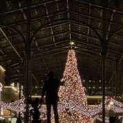 ヒメ日記 2025/12/24 16:41 投稿 あずさ 恋する人妻