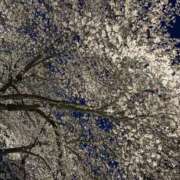 ヒメ日記 2026/04/04 12:15 投稿 あずさ 恋する人妻