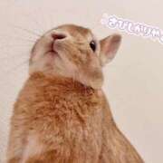 ヒメ日記 2025/08/22 11:43 投稿 Yura ワンカラット～人妻の輝き～