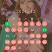 ヒメ日記 2025/11/29 21:01 投稿 Yura ワンカラット～人妻の輝き～