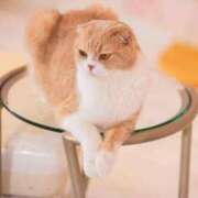 米倉ほのか 本日もありがとうございました💓 クラブレア南大阪