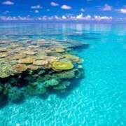 ヒメ日記 2026/04/01 17:12 投稿 荒牧ちよ オペラ(吉原)