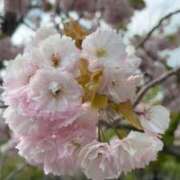 ヒメ日記 2026/04/28 18:32 投稿 荒牧ちよ オペラ(吉原)