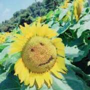 松田若菜 こんばんは 五十路マダム 岐阜店