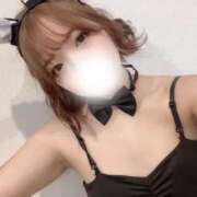 ヒメ日記 2026/02/20 09:12 投稿 ハナビ バニーコレクション秋田店