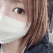 ヒメ日記 2026/03/03 16:10 投稿 ハナビ バニーコレクション秋田店