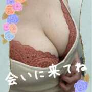 ヒメ日記 2025/05/29 07:01 投稿 里村真理子 五十路マダム 沼津店(カサブランカグループ)