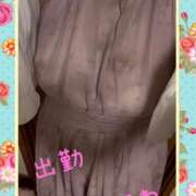 ヒメ日記 2025/07/16 07:03 投稿 里村真理子 五十路マダム 沼津店(カサブランカグループ)