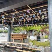 ヒメ日記 2026/06/16 23:43 投稿 里村真理子 五十路マダム 沼津店(カサブランカグループ)