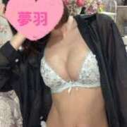 ヒメ日記 2025/05/22 23:44 投稿 ゆめは 町田人妻城