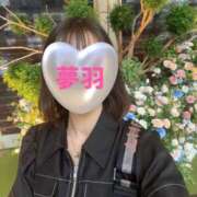 ヒメ日記 2025/06/01 15:04 投稿 ゆめは 町田人妻城