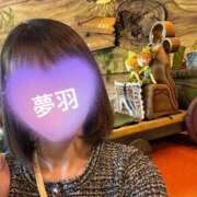 ヒメ日記 2025/07/08 17:11 投稿 ゆめは 町田人妻城