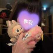 ヒメ日記 2025/07/31 09:03 投稿 ゆめは 町田人妻城