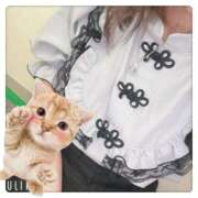 ヒメ日記 2025/07/17 20:21 投稿 きずな 千葉サンキュー