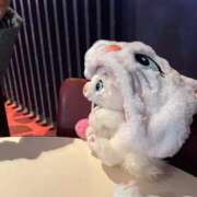 ヒメ日記 2026/02/22 16:55 投稿 ましろ《Premiumコース》 if(イフ) 中村店