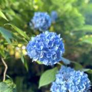 こはる 幸せ(*˘︶˘*).｡.:*♡ 錦糸町ミセスアロマ（ユメオト）