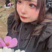 ヒメ日記 2025/06/01 14:51 投稿 (スタン)真白あゆ 風俗イキタイいわき店