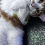 ヒメ日記 2025/07/23 23:19 投稿 飯田　まりえ イラマチーオ新宿店