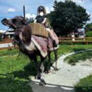 ヒメ日記 2025/08/09 13:19 投稿 飯田　まりえ イラマチーオ新宿店